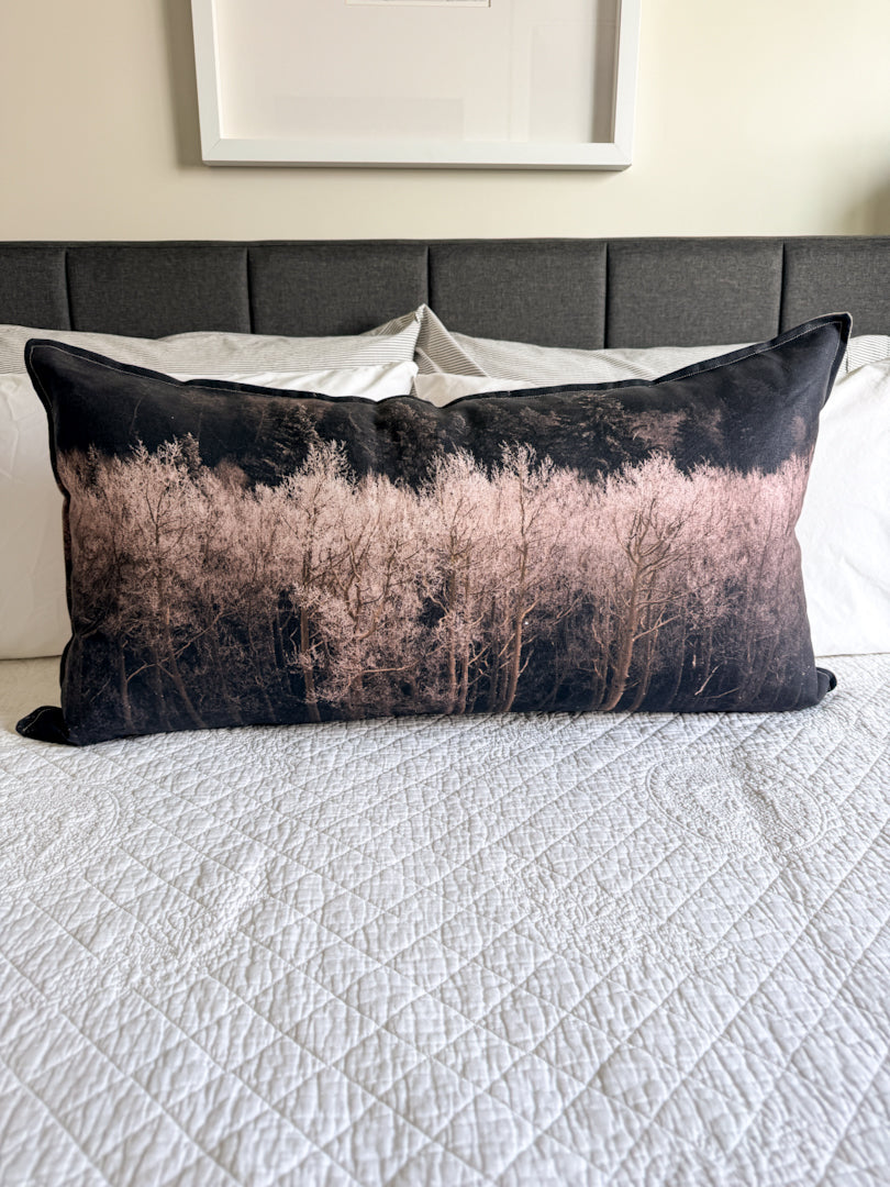 Aspen Collection