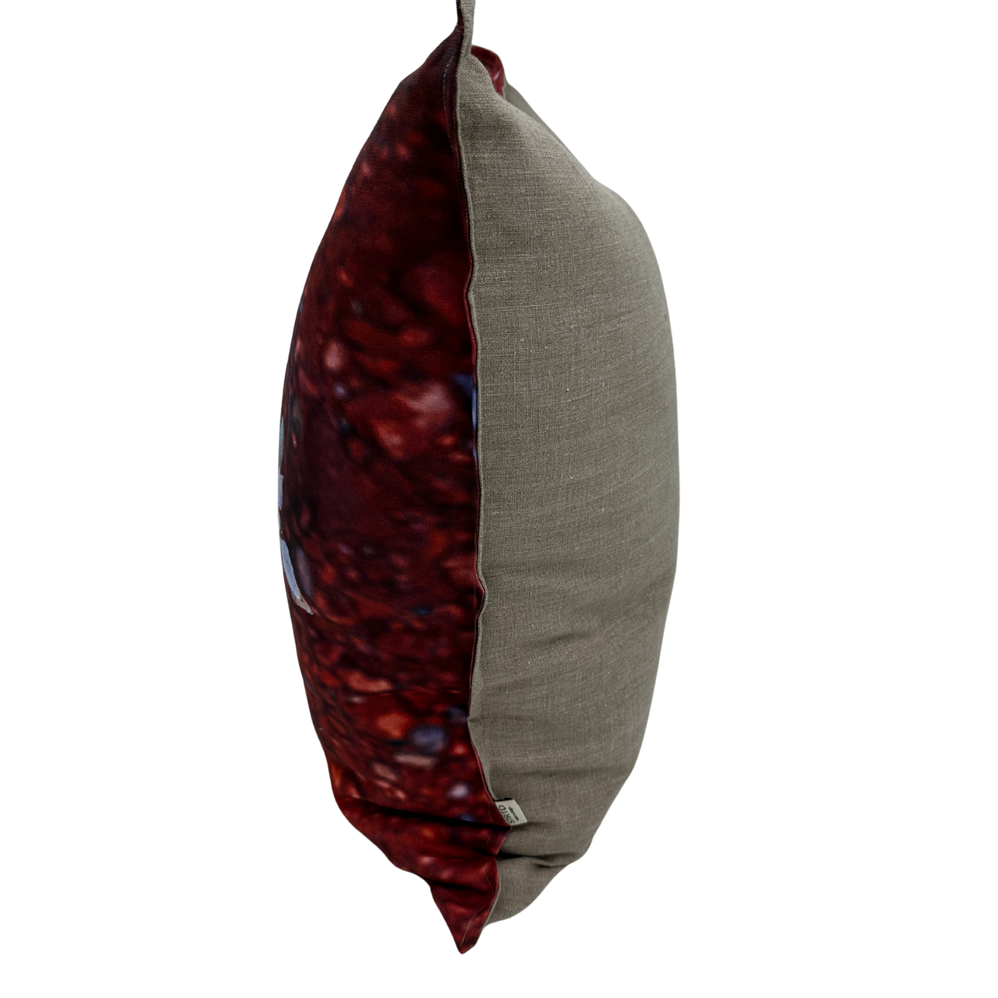 Side view — Saltwing pillow showing the printed desert foliage front and natural linen back