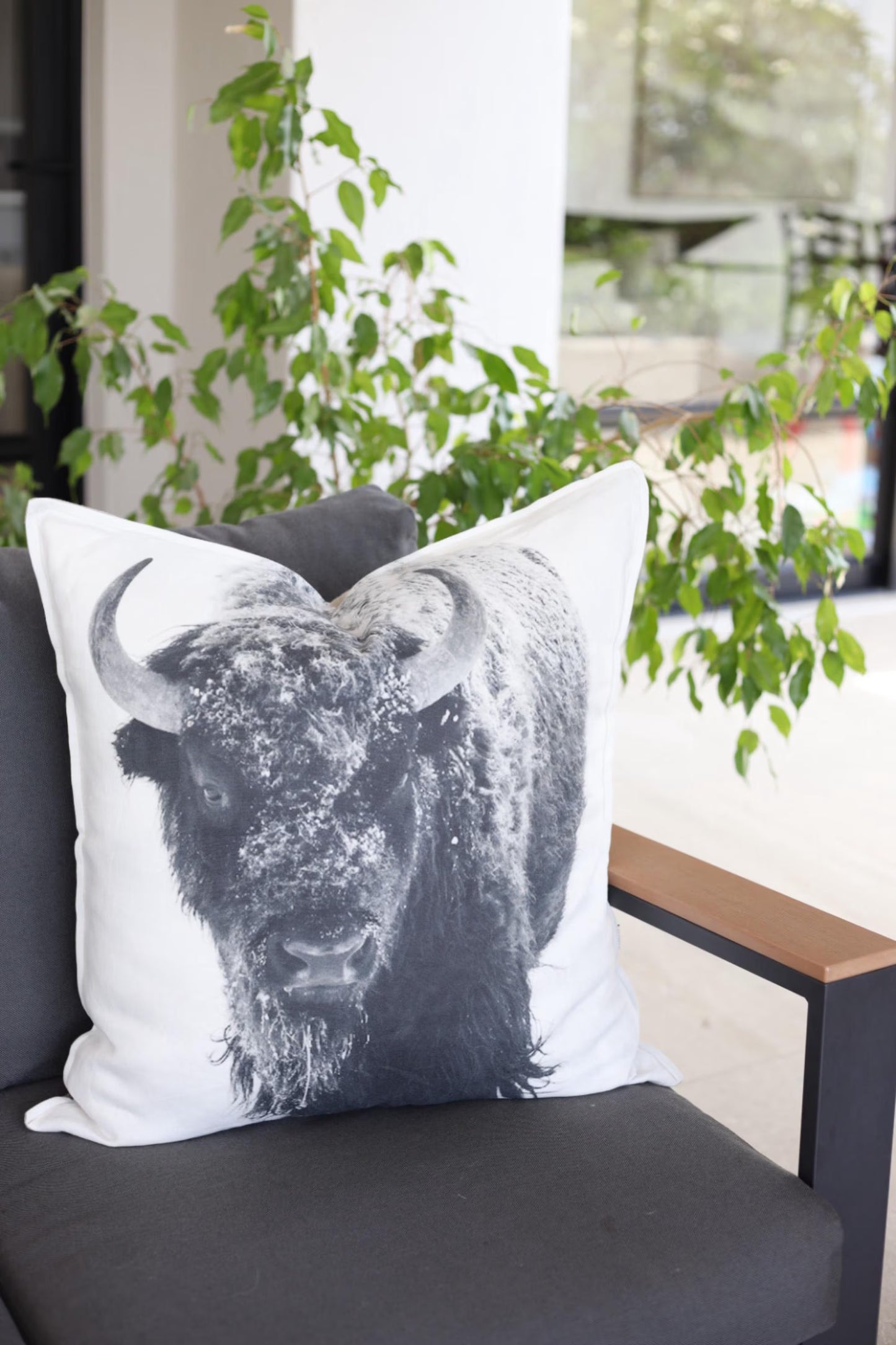 Bison Pillow Cover
