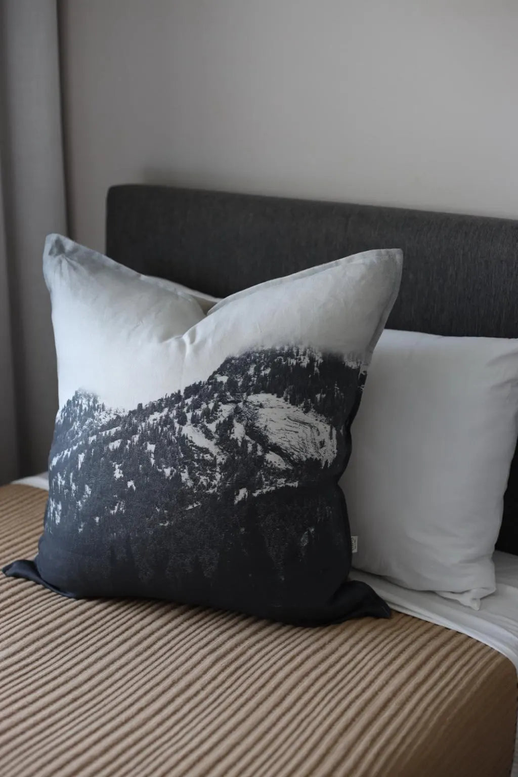 Cottonwood Canyon Pillow - 24 x 24