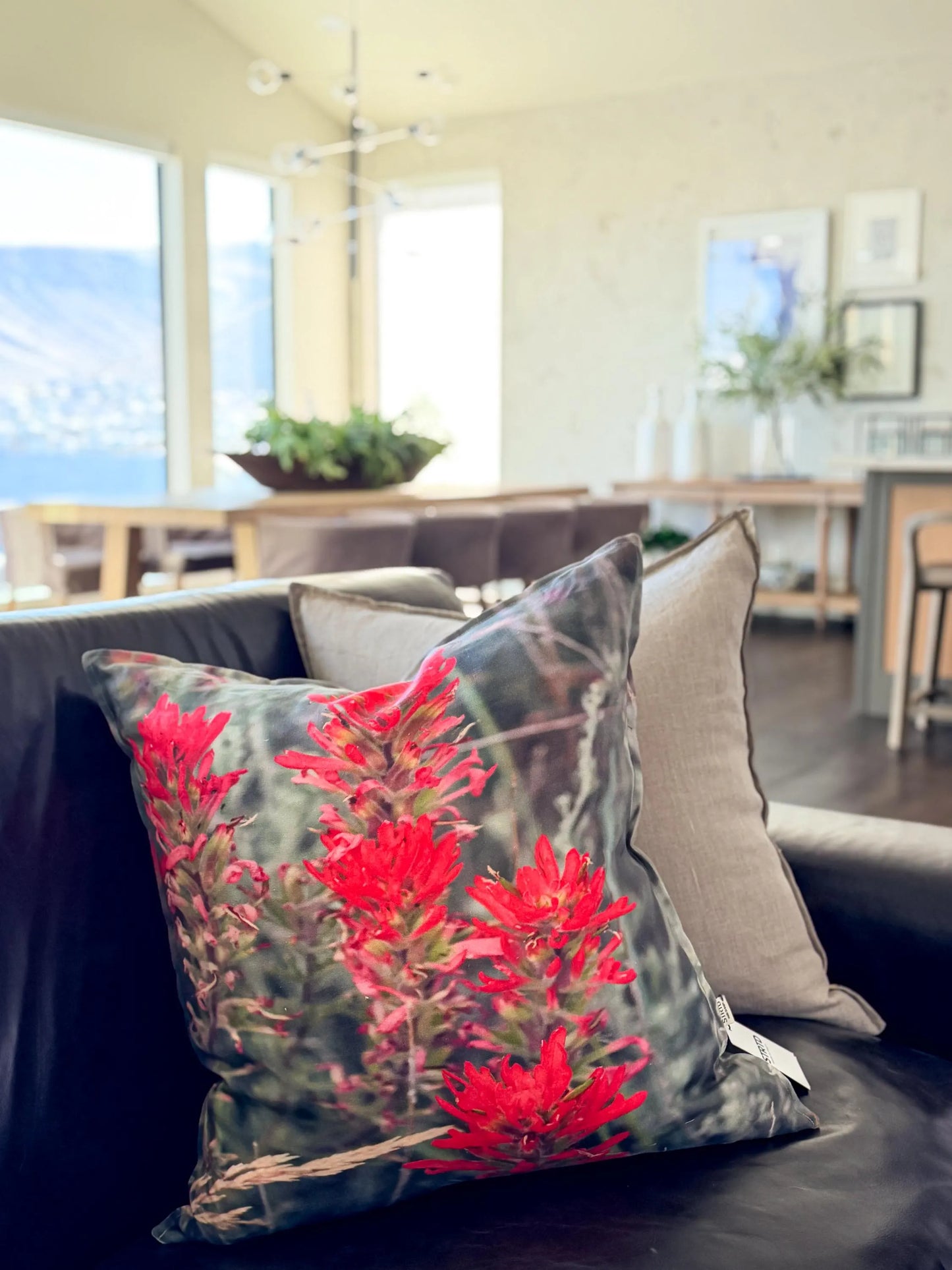 Indian Paintbrush Pillow - 24 x 24